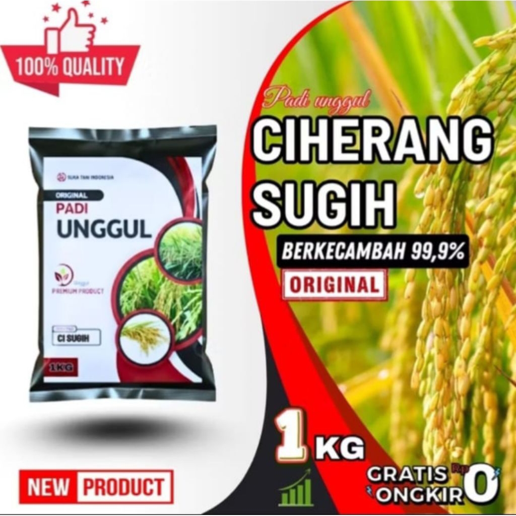 Benih Padi Ciherang Sugih Kemasan 1kg Original