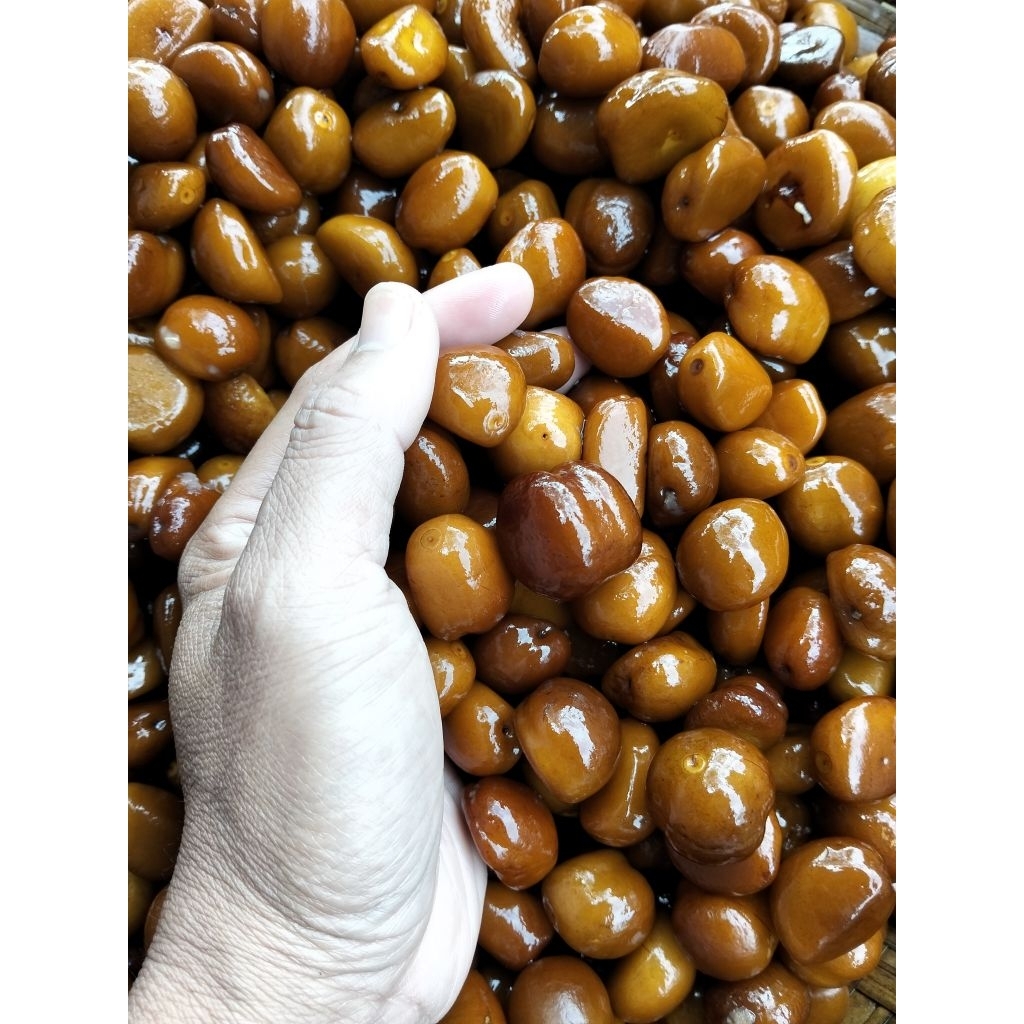 BIJI SALAK PONDOH 1 KG / BENIH SALAK PONDOH