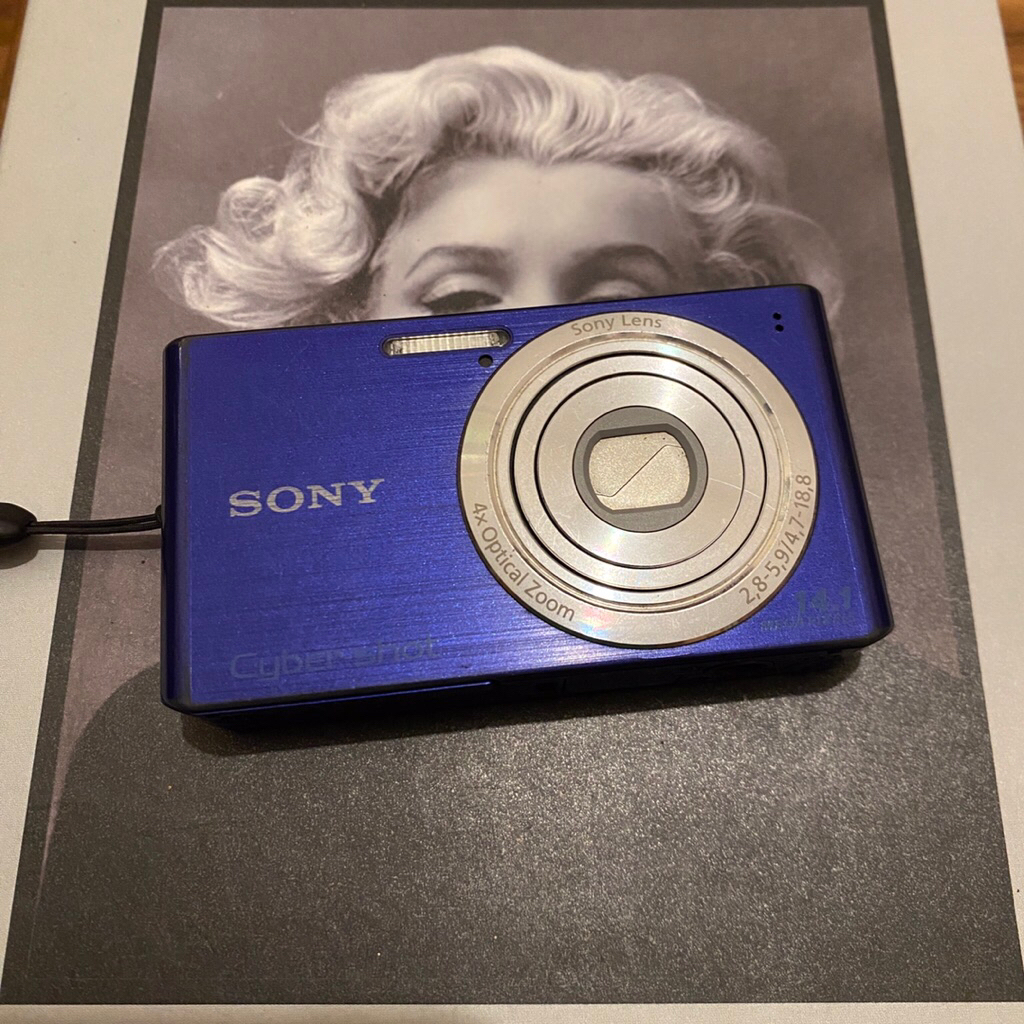 Kamera Digital Digicam Sony DSC W-610 W610