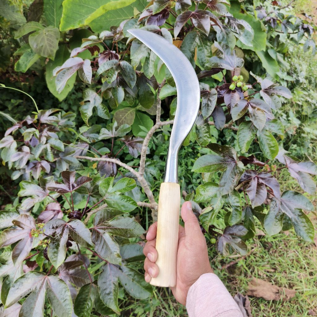 arit rumput arit ramban super baja asli madura cod gratis ongkir