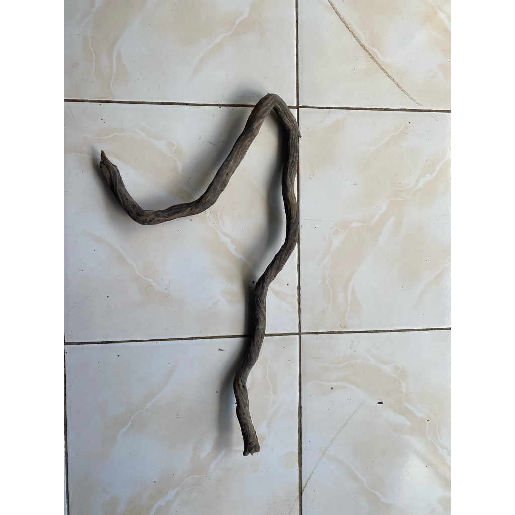 Kayu Akar Santigi Ukuran M Hardscape Hiasan Aquarium Aquascape