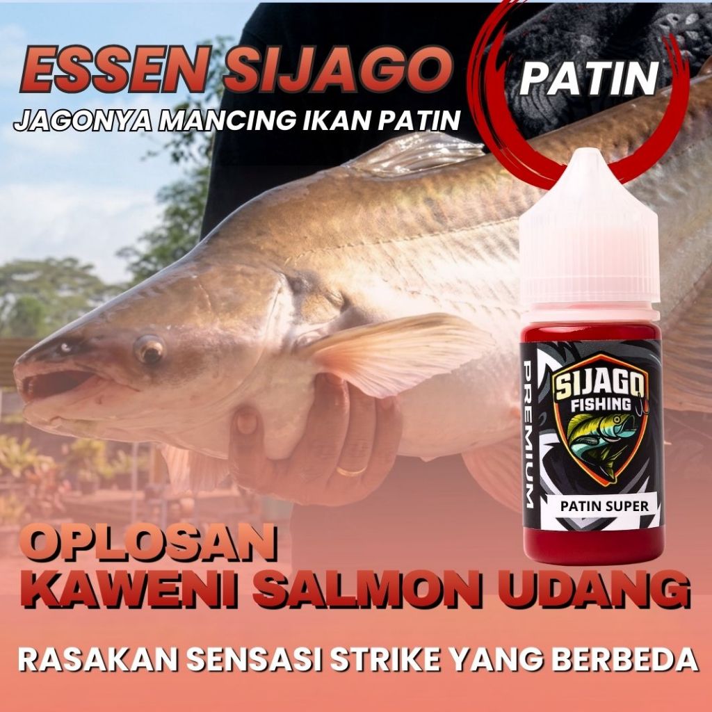 Essen Ikan Patin Babon Induk Rame Spesial Oplosan Kaweni Salmon Udang Aroma Mewah Anti Boncos
