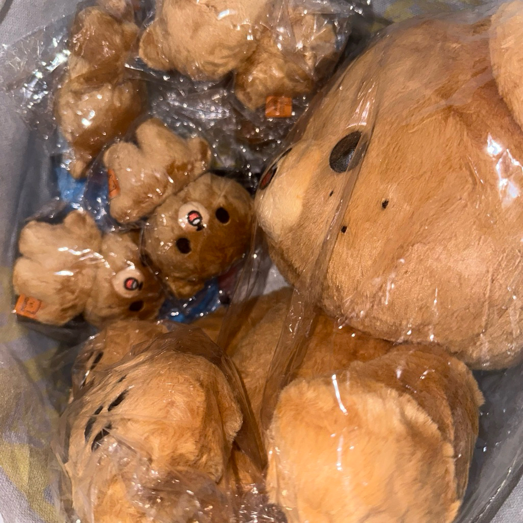 [READY STOCK] GOMDO LEE 40cm 10cm SEALED HAECHAN DOLL