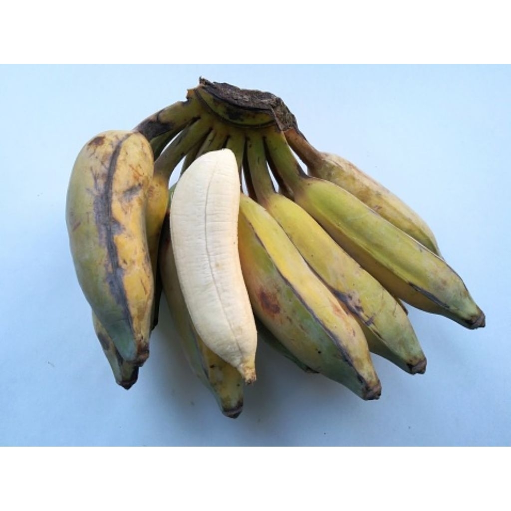 pisang kepok putih 1kg