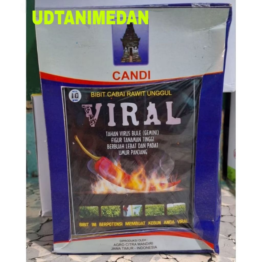 1 Kotak/ 25 Bungkus Benih Cabe Rawit VIRAL isi 10 gram