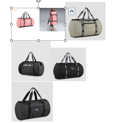 Puma Duffel Bag [Archive/Fundamental/Barrel/Essential/Training] [Various Design]