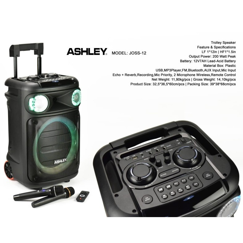 SPEAKER Portable WIRELESS Meeting Ashley JOSS-12 12" ( 12 INCH )