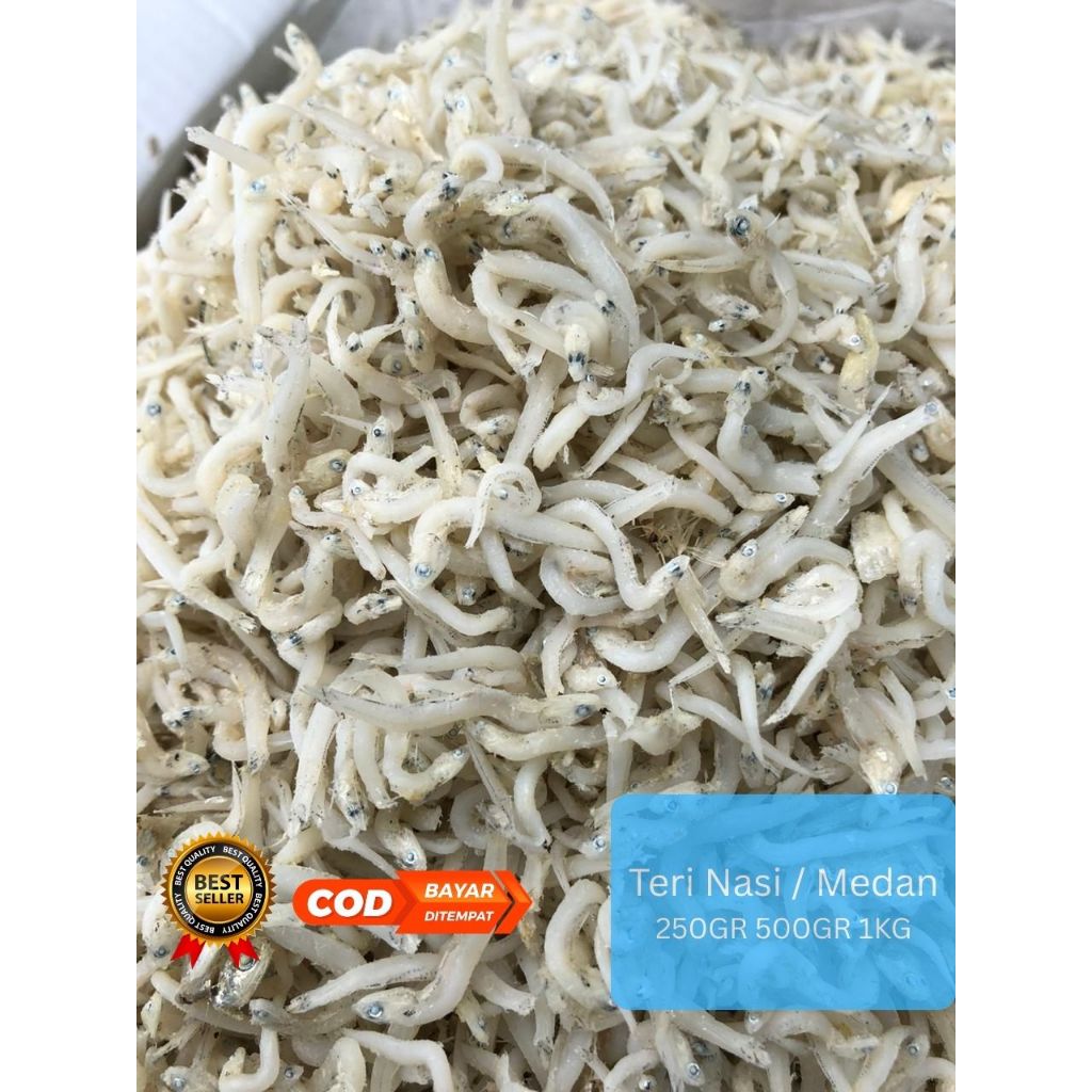 Ikan Asin Teri Nasi Medan Asli 250gr 500gr 1kg