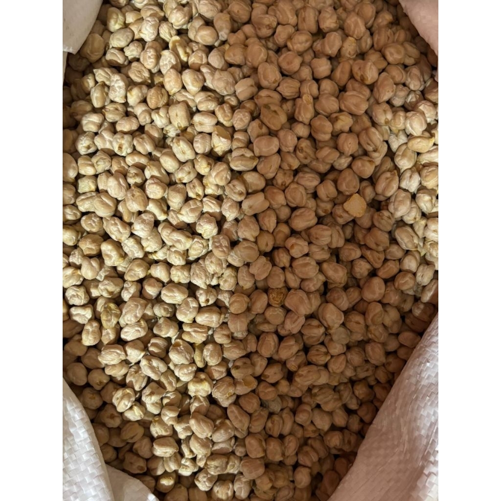 kacang Humus 1kg kacang arab mentah 1kg colle arab