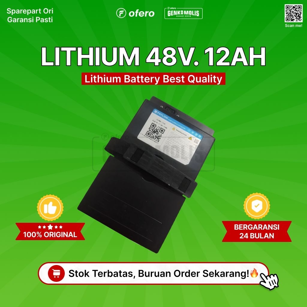 Battery Lithium Phylion 48V12AH