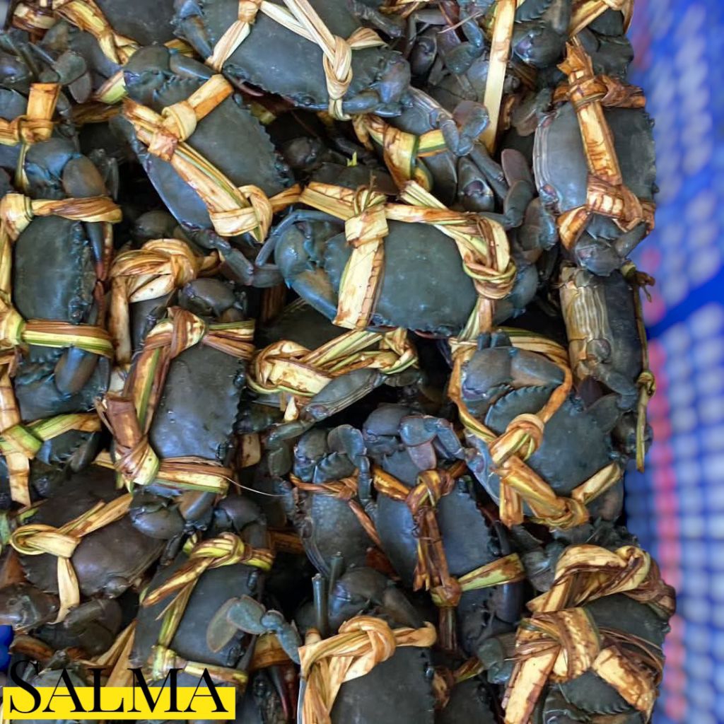 kepiting hidup kepiting bakau kepiting mati segar 100gram