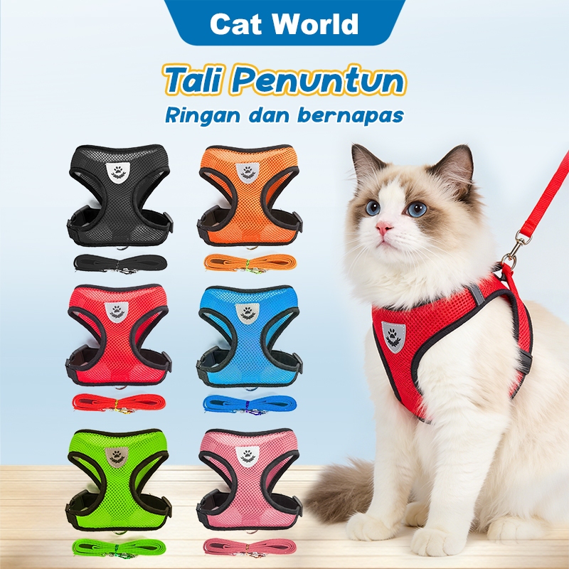 Tali kucing dan anjing Tali kucing Untuk jalan Harness kucing Tali hewan peliharaan