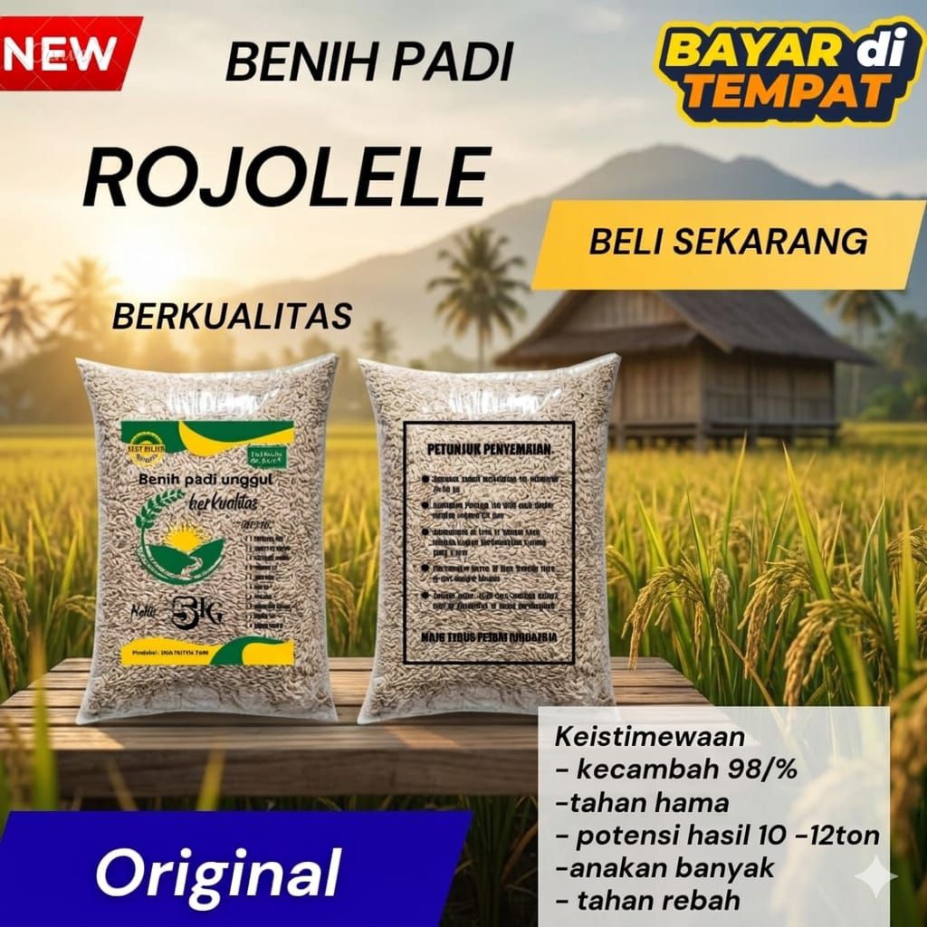 Benih Padi Rojolele BIBIT UNGGUL BERKUALITAS PREMIUM 5KG