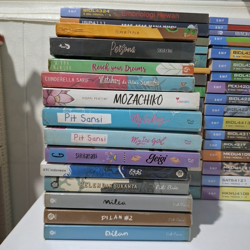 PRELOVED NOVEL GALAKSI DILAN MOZACHIKO Pidibaiq wattpad