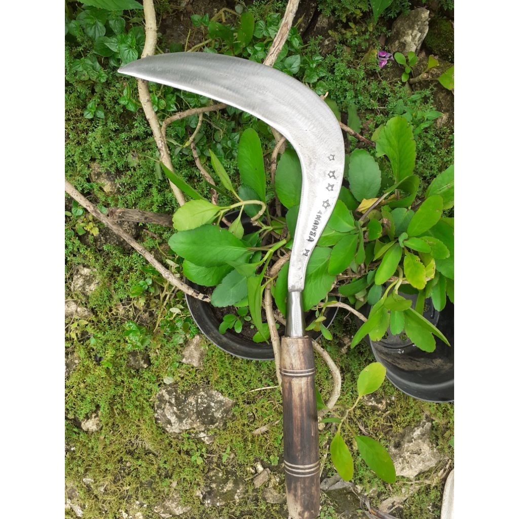 sabit rumput super tajam premium bahan baja pir