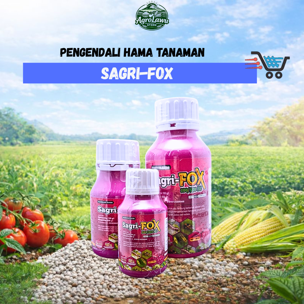 SAGRI-FOX 100/550 EC – Insektisida Spesialis Ulat & Penggerek Batang