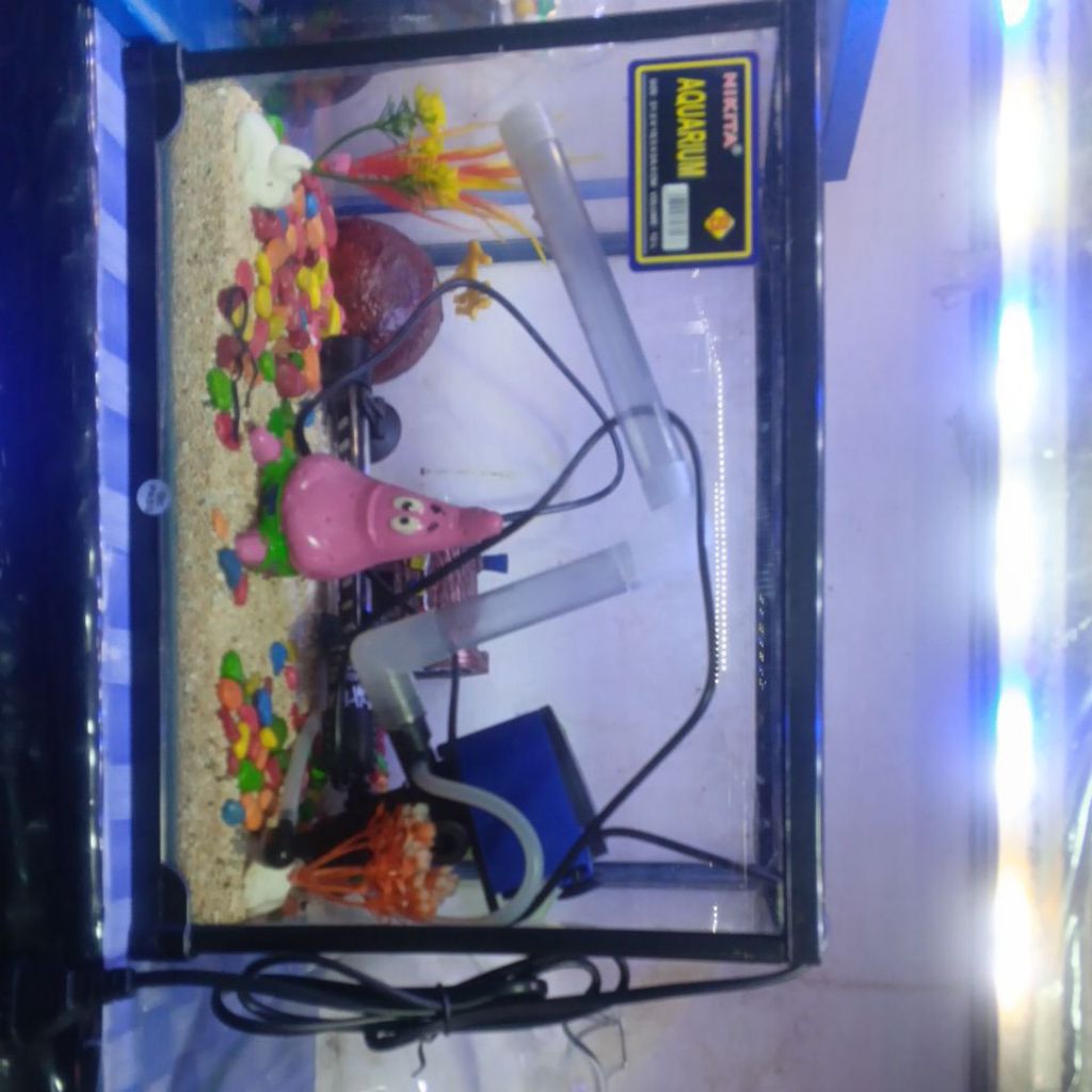 aquarium lengkap 1 set