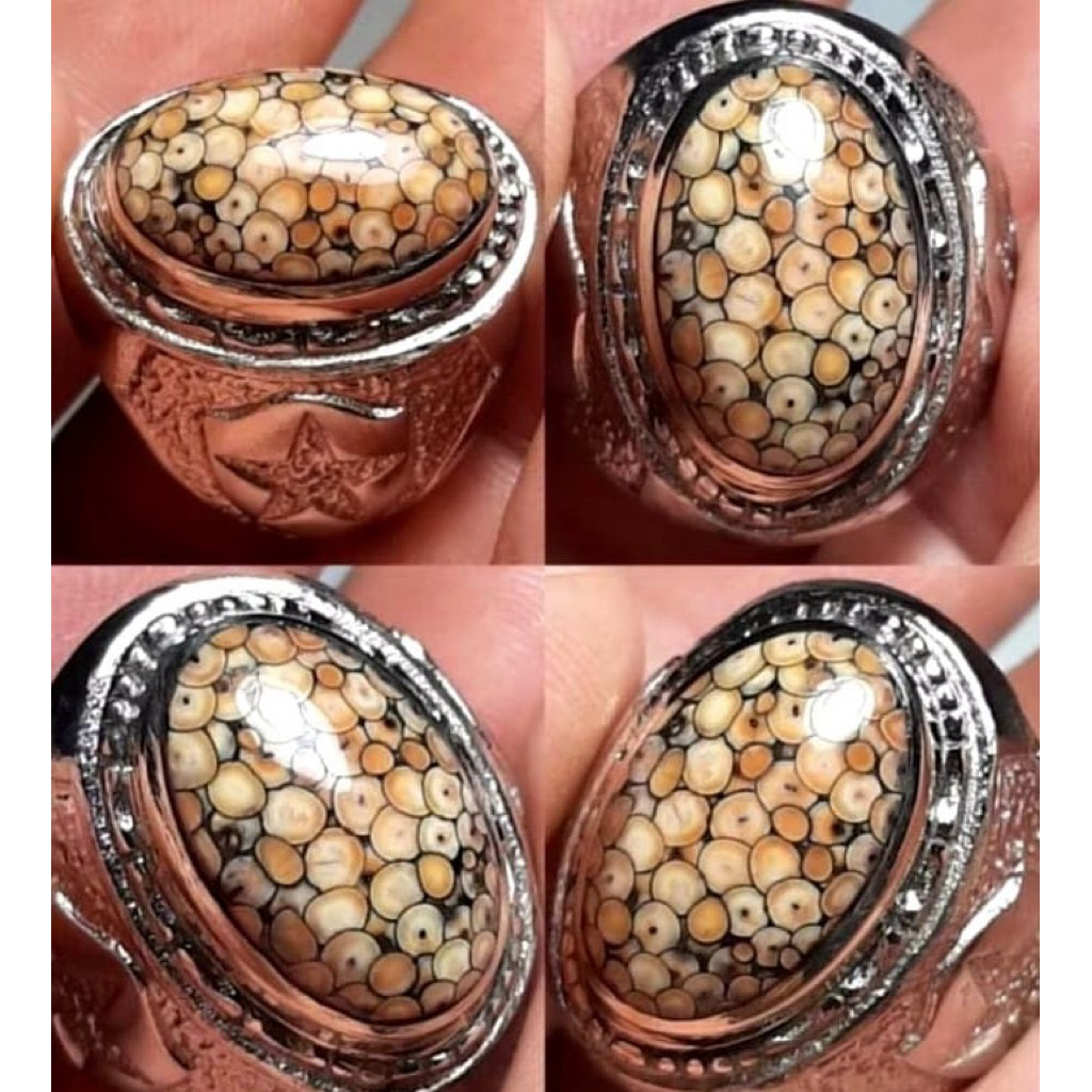 JHIPEN SISIK ULAR FULL SISIK WARNA LANGKA AJIB ANTIK