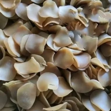 Kerupuk puli madura/kerupuk rambak/Mentah/madura 500gram