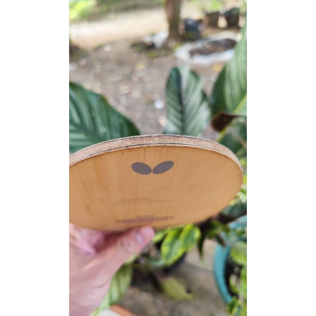 Bet Tenis Meja Garaydia Tamca second