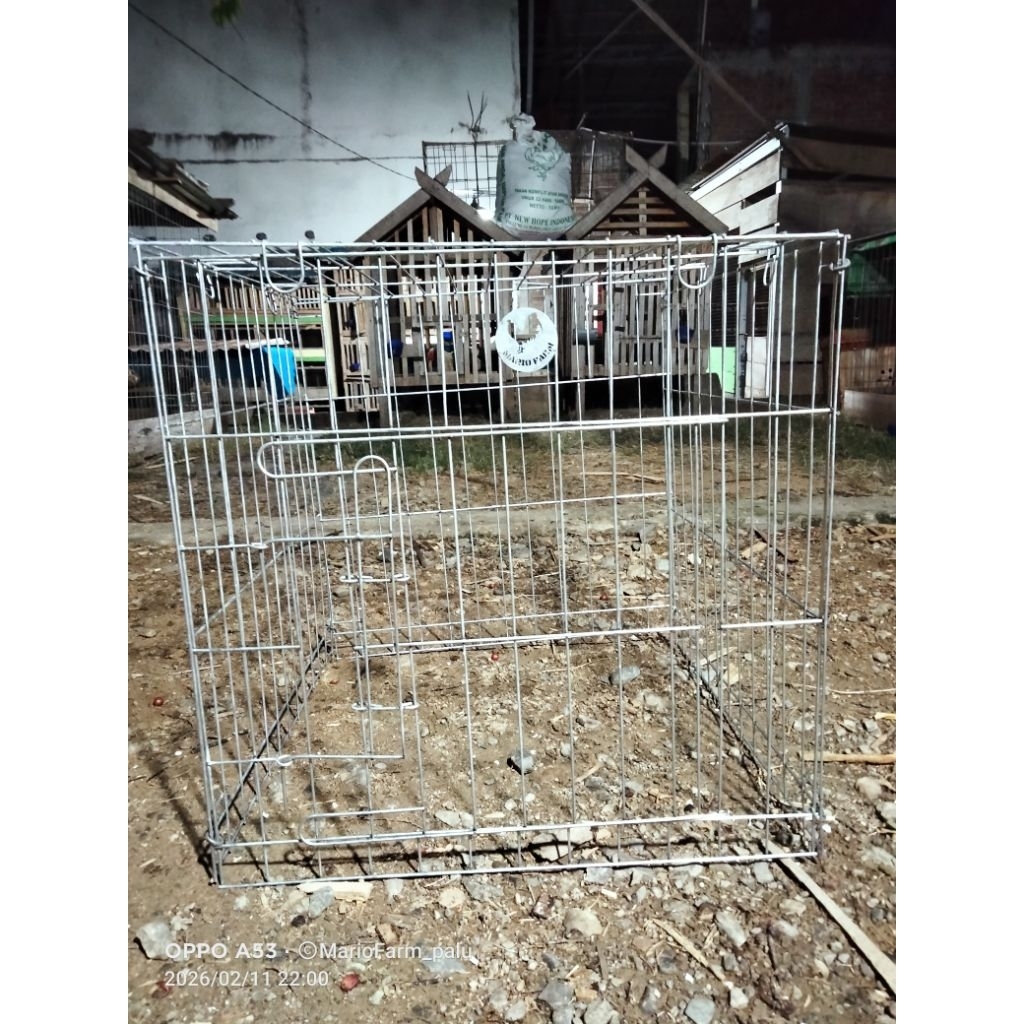 Kandang Galvanis kotak 60 x 60 x 60 Premium