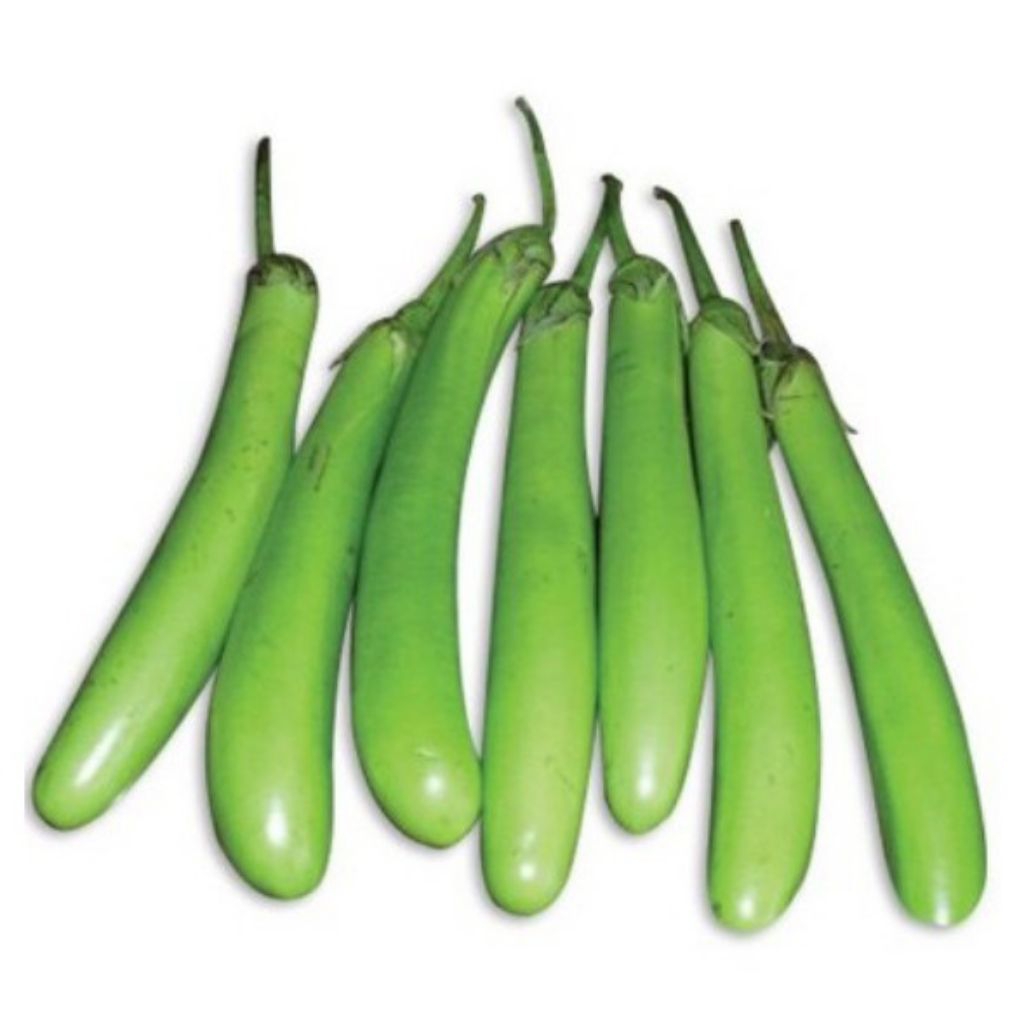 Benih Bibit Biji Terong Lalap Panjang F1 Seed Besar ISI 5 BENIH