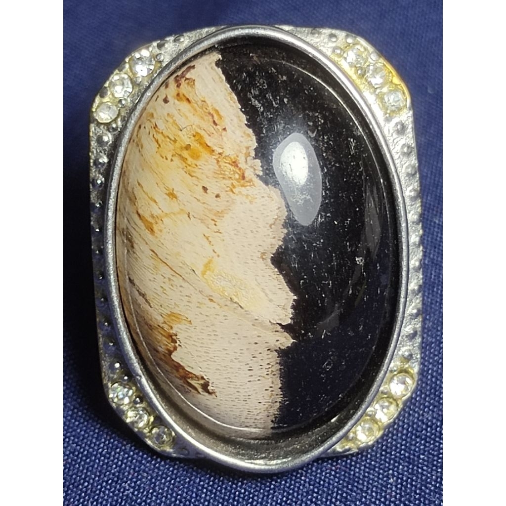 Natural Kelor Petrified Wood, SUN GO KONG / Batu Fosil Kayu Kelor, SUN GO KONG