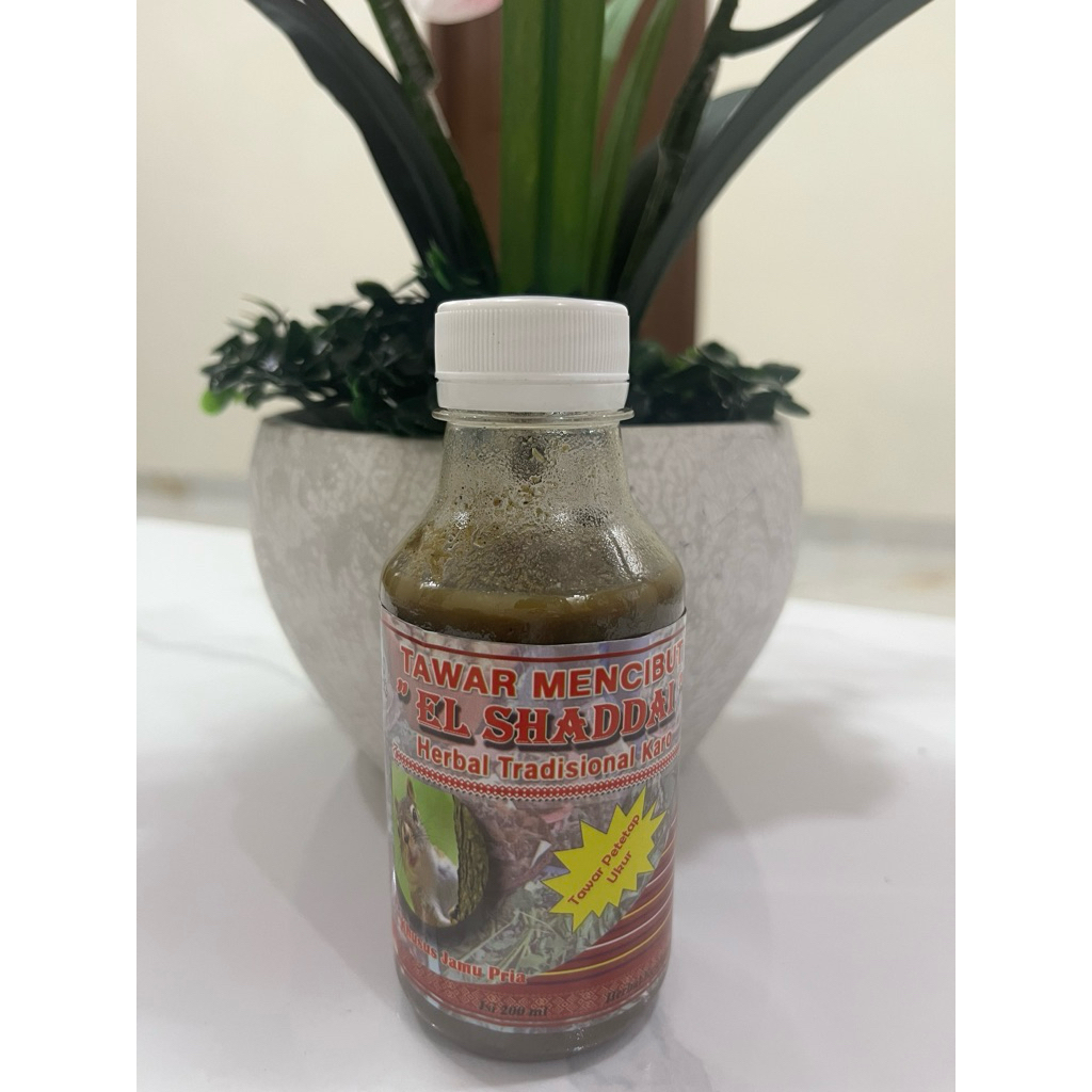 Tawar Mencibut asli El shaddai tradisional Karo