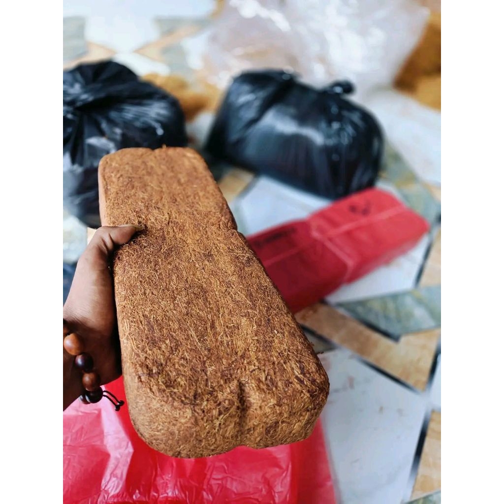 Bhekoh Tambeng original