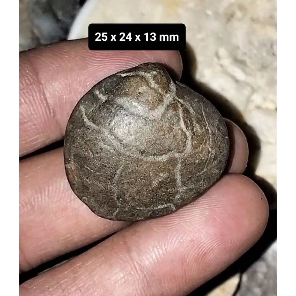 Batu akik kijing bungkem asli alam