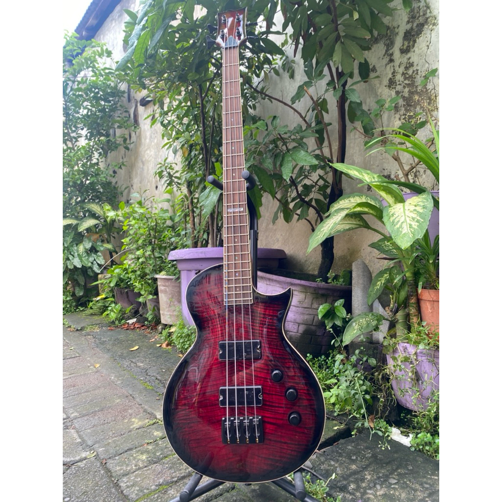 bass model LTD ecplise (body neck original)