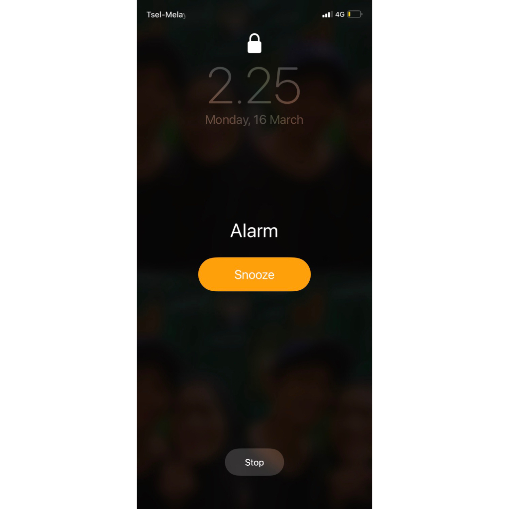 Melissa ad possesion