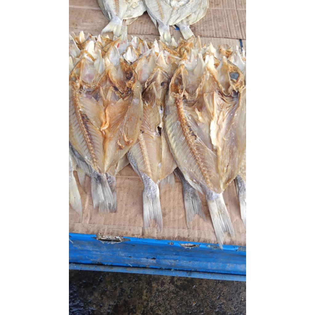 IKAN ASIN KATAMBA 1KG