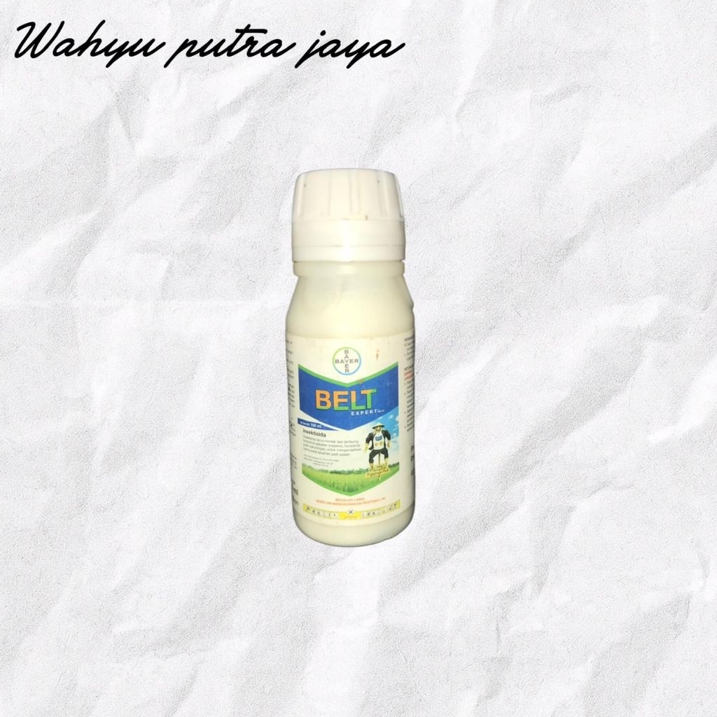 Belt Expert 480 SC 100ml