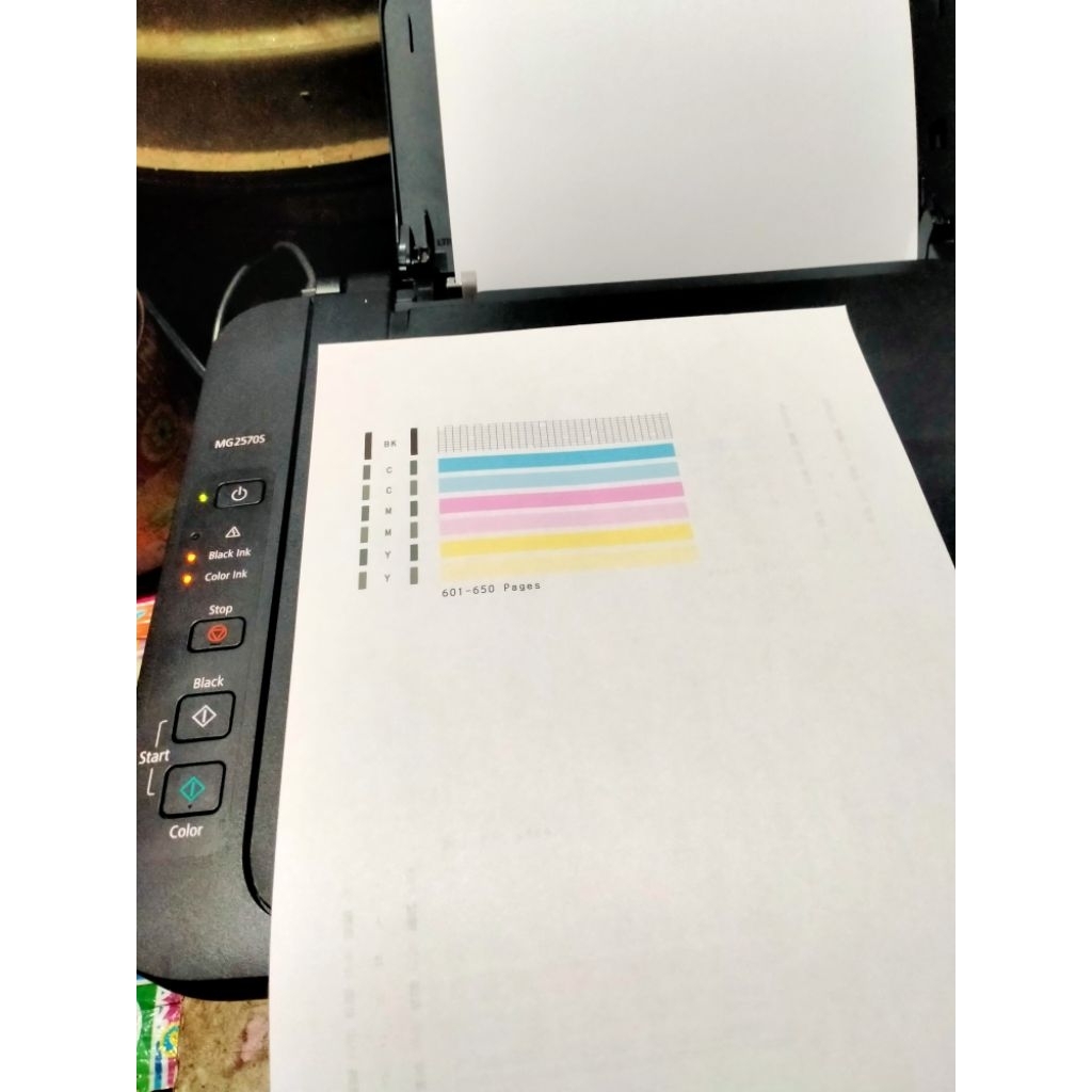 Printer Canon Pixma MG 2570S