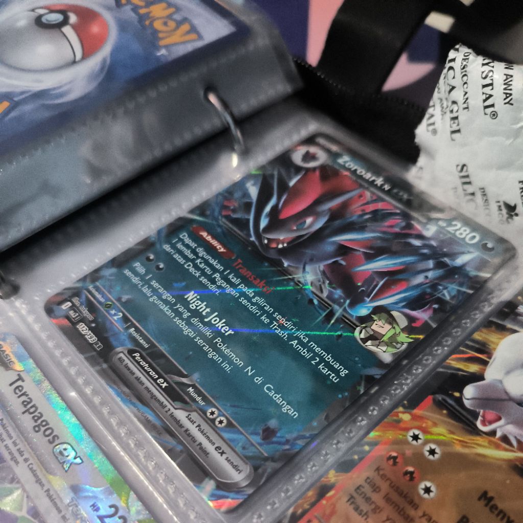 Zoroark N EX