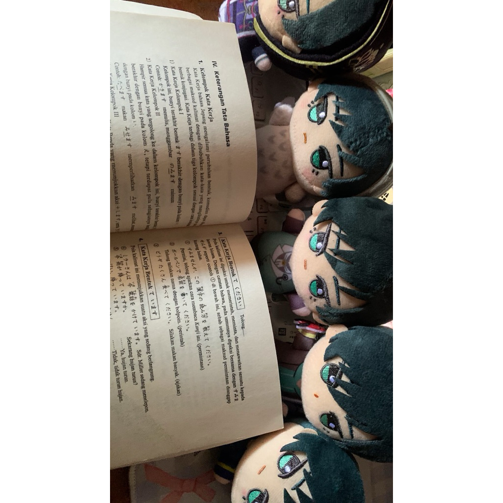 Chibigurumi Itoshi Rin Blue Lock