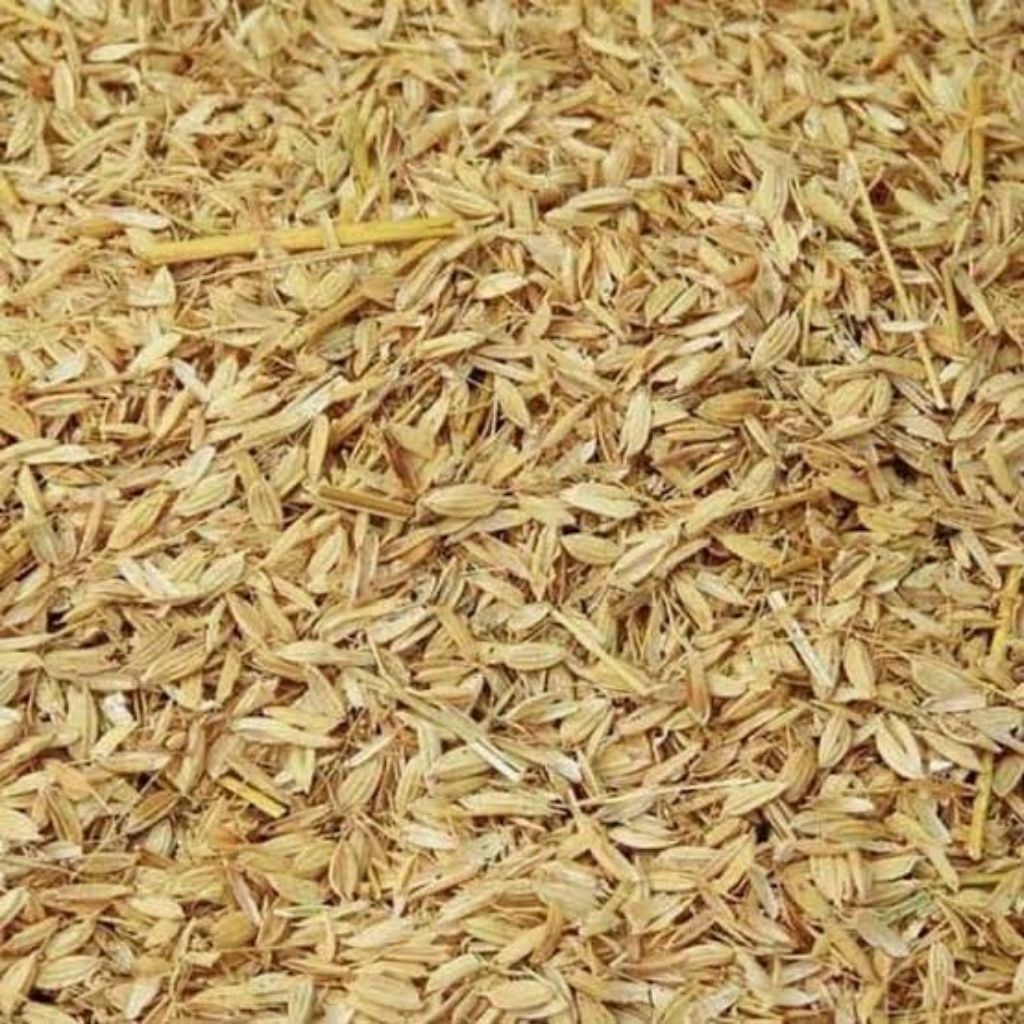 merang,padi,sekam,padi, media, tanam, 1karung ukuran 50kg