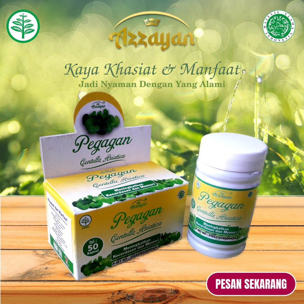 Ekstrak Daun Pegagan Azzayan 50 Kapsul