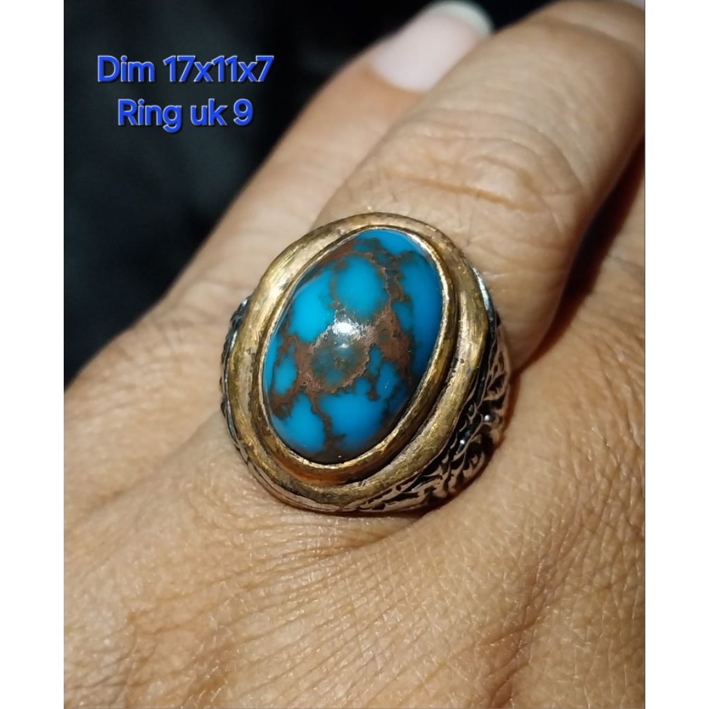 Pirus Mesir ceplok Blue Royal