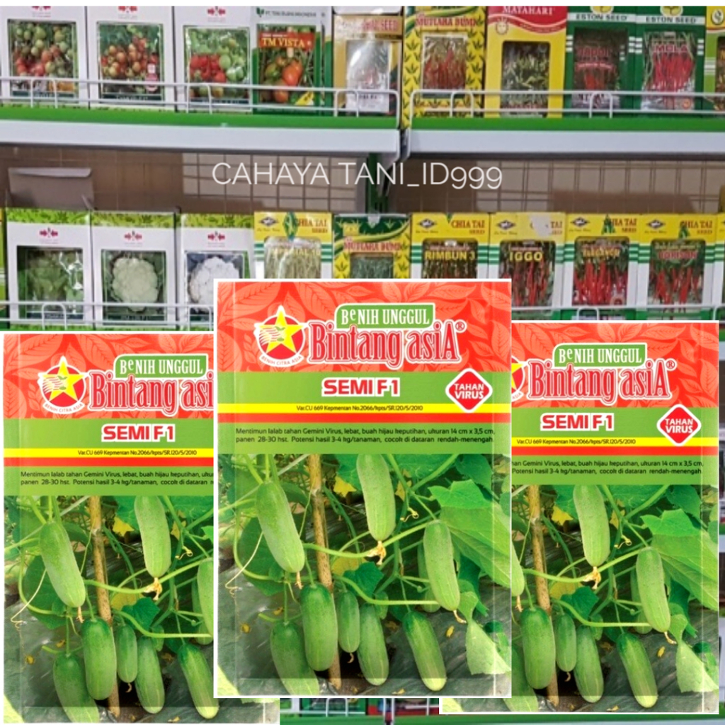 PROMO TERBAIK Benih Bibit Timun Semi F1 20 gram Kemasan Pabrik