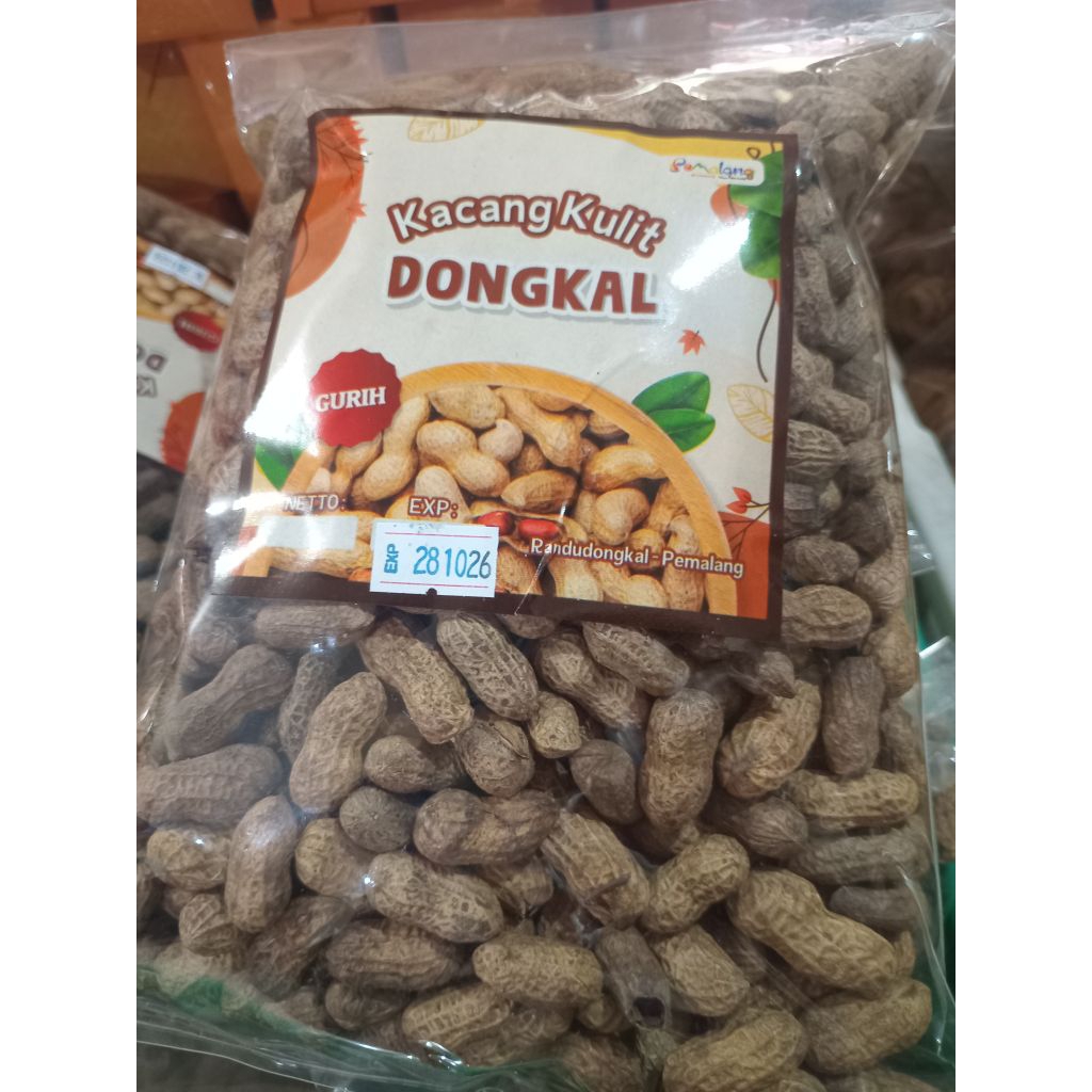 KACANG KULIT DONGKAL KHAS PEMALANG UKURAN BESAR