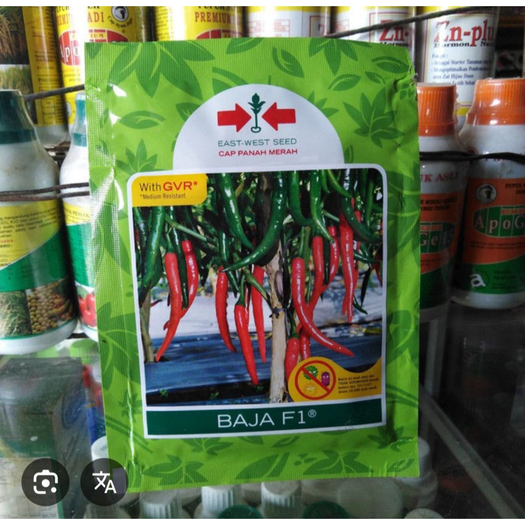 benih cabe besar BAJA F1 1500 BUTIR