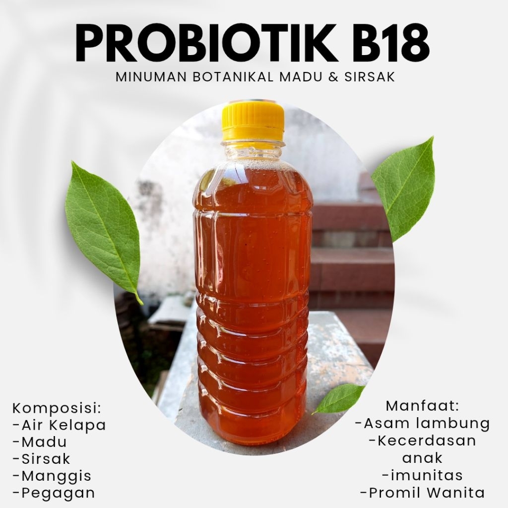 PROBIOTIK B18/G18 prof sukrdi (500ml) MADU LAMBUNG,IMUN,& KECERDASAN ANAK