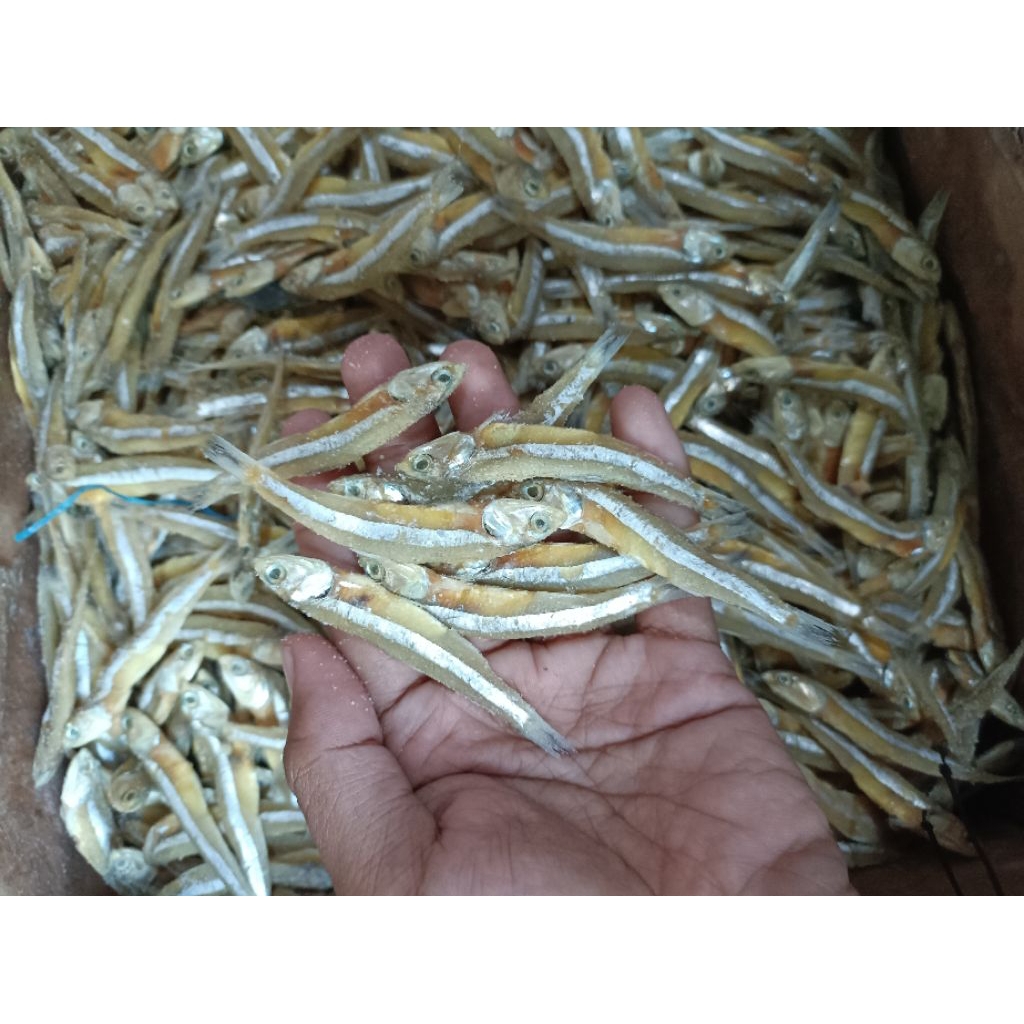 IKAN TERI JENGKI KERING 1 kg  RENYAH GURIH ikan teri asin kering
