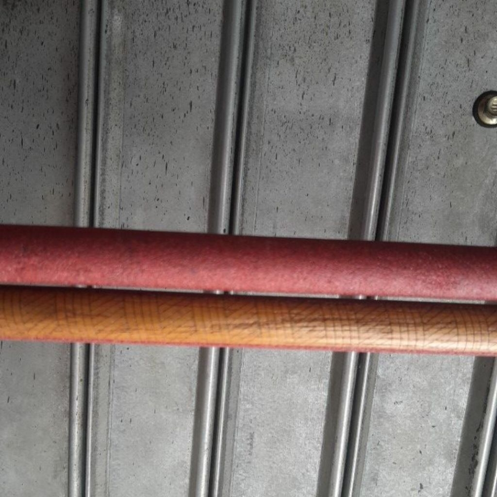 Tangkringan Murai Batu