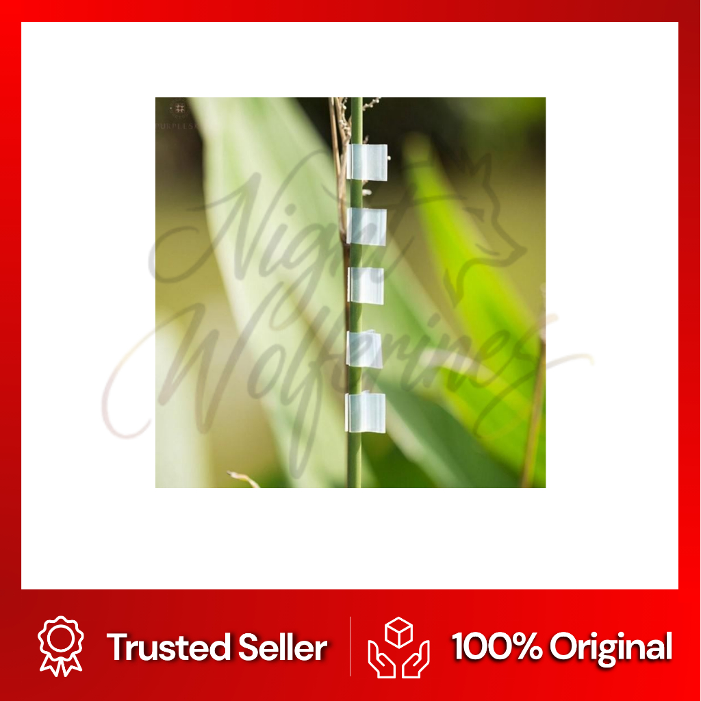 Grafting Clip / Klip Okulasi / Sambung Pucuk / Penjepit Okulasi Polos