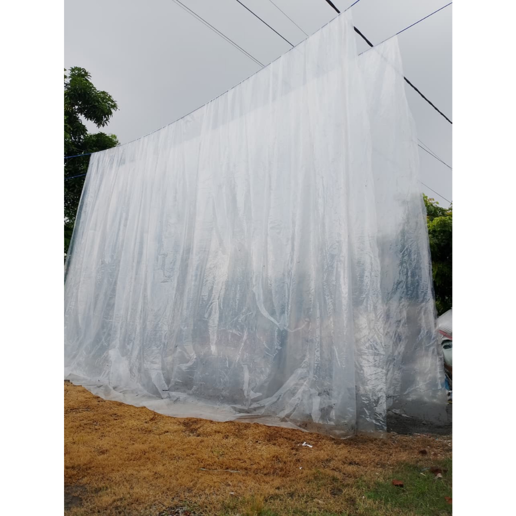 Plastik UV tebal 200 micron 8x8 meter bekas