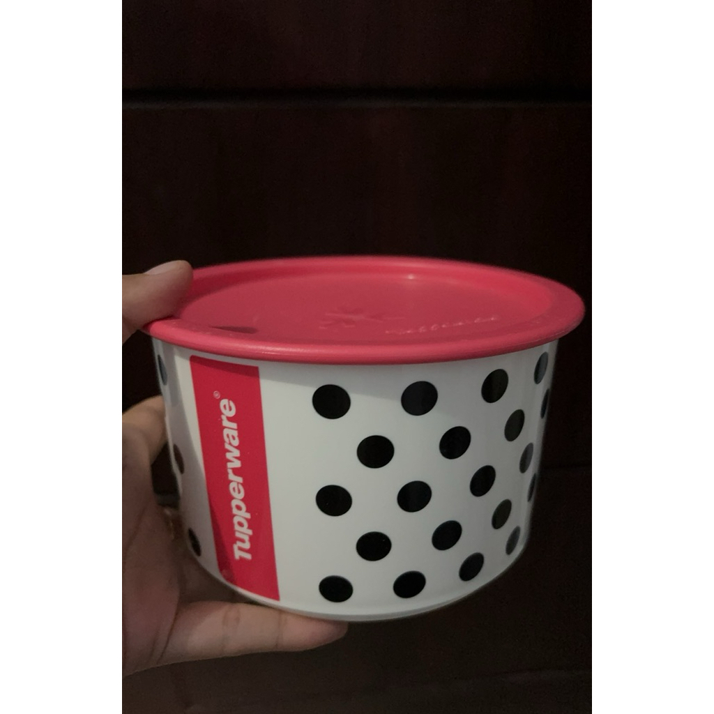 Polkadot Canister Tupperware New