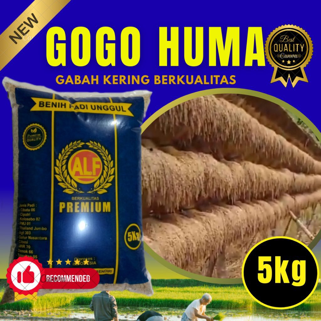 benih unggul padi Gogo/padi ladang 5kg